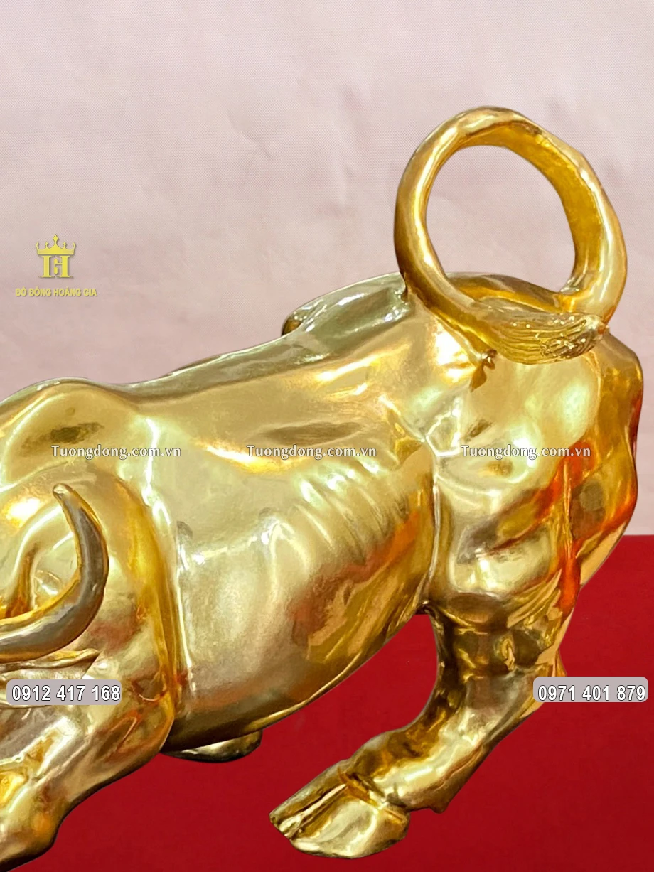 Đuôi trâu uốn cong, vắt trên lưng